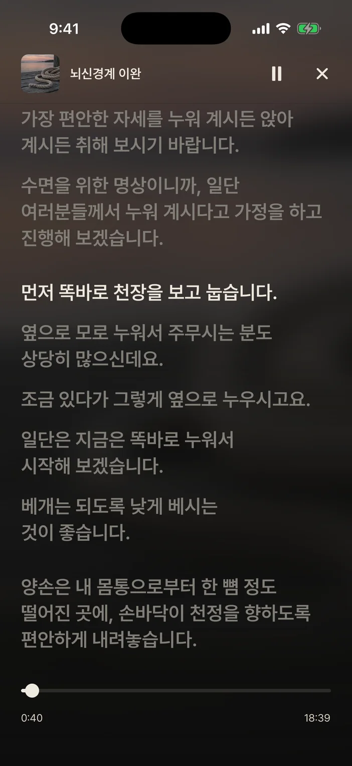 플레이어 대본 보기 화면
